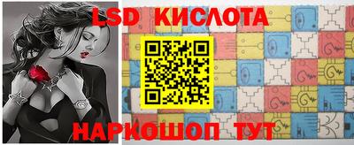 стаф Донской