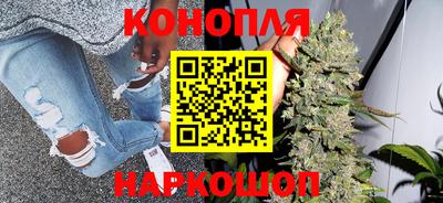 стаф Донской