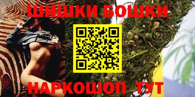 стаф Донской