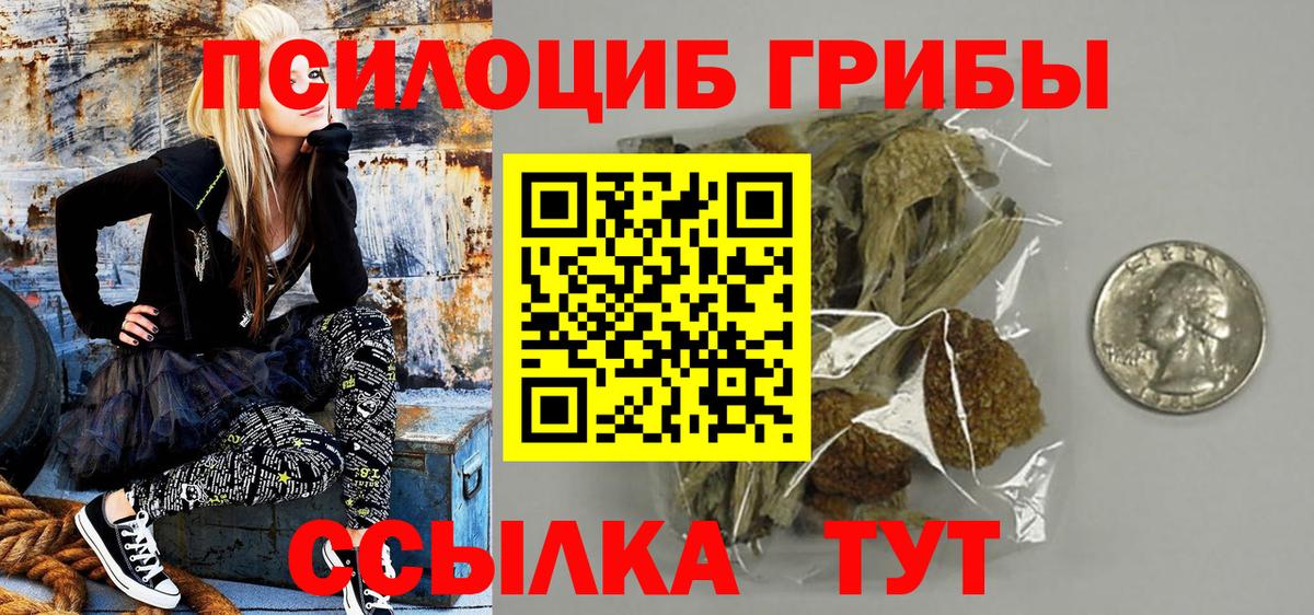 купить  цена  Псилоцибиновые грибы Psilocybe  Вход с VPN  Новошахтинск 